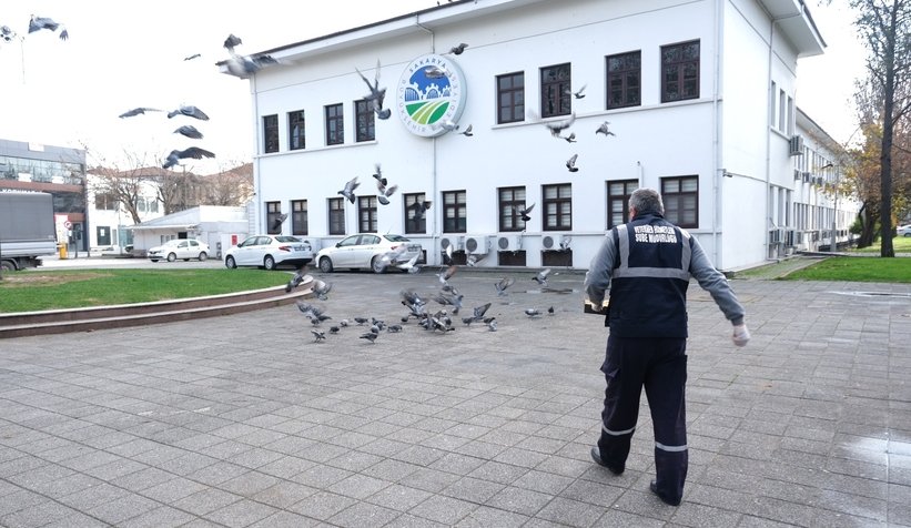 Büyükşehir sokak hayvanları unutmuyor