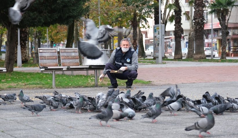Büyükşehir sokak hayvanları unutmuyor