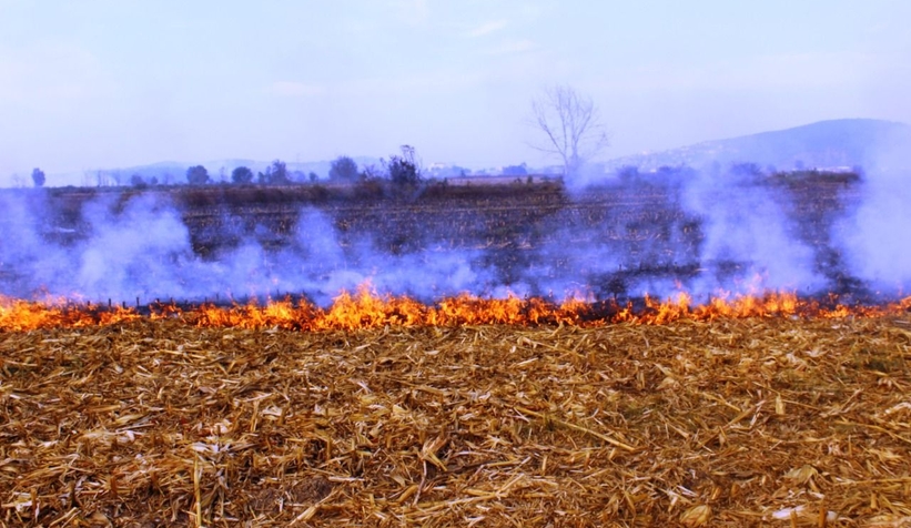 Büyükşehir uyarıyor; Tarımsal faaliyetlerde ateş yakmayın
