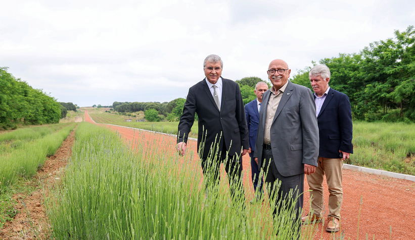 Büyükşehir vadiyi yaşam merkezi haline taşıyacak