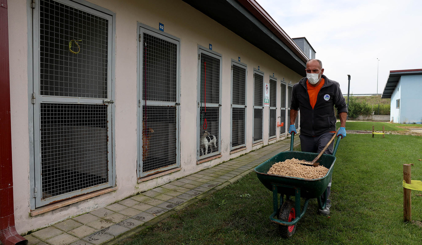 buyuksehir-yemek-atiklarini-mamaya-donusturuyorb1fpewvwyt