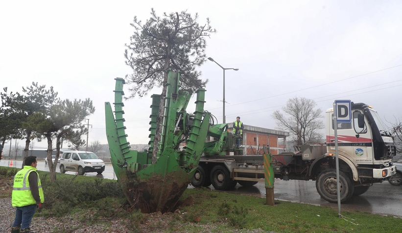 Büyükşehir’den metrobüs hattında yeşil hassasiyeti 