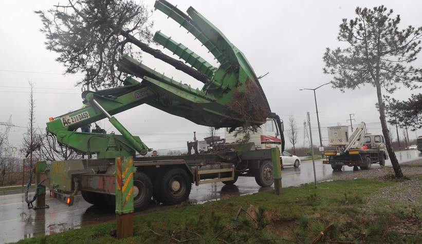 Büyükşehir’den metrobüs hattında yeşil hassasiyeti 