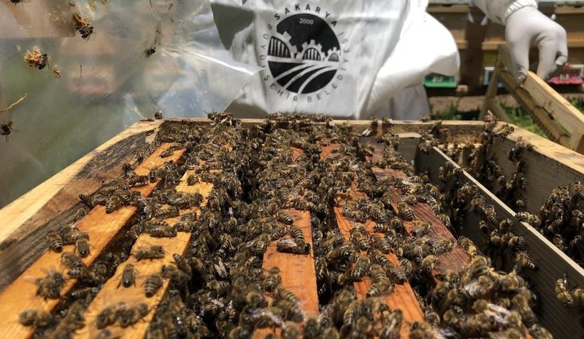 Büyükşehirden Sakarya'ya 2.5 milyar lira yatırım