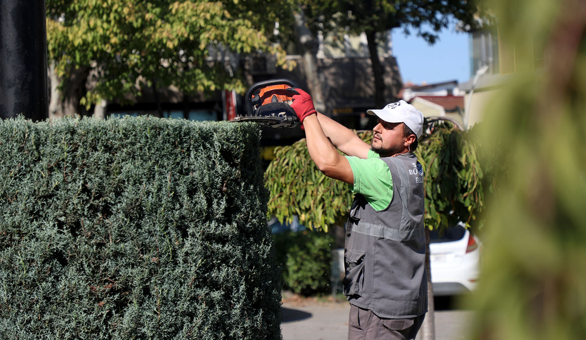 Büyükşehir’den şehrin dört bir yanına sonbahar dokunuşu