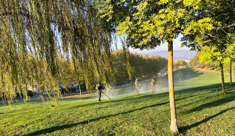 Büyükşehir’den şehrin dört bir yanına sonbahar dokunuşu