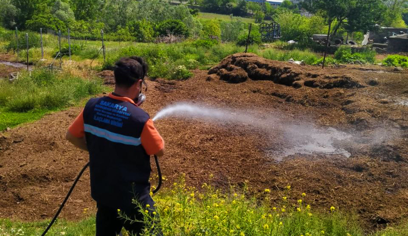 Büyükşehir’den sinek ve böcek istilasına müdahale