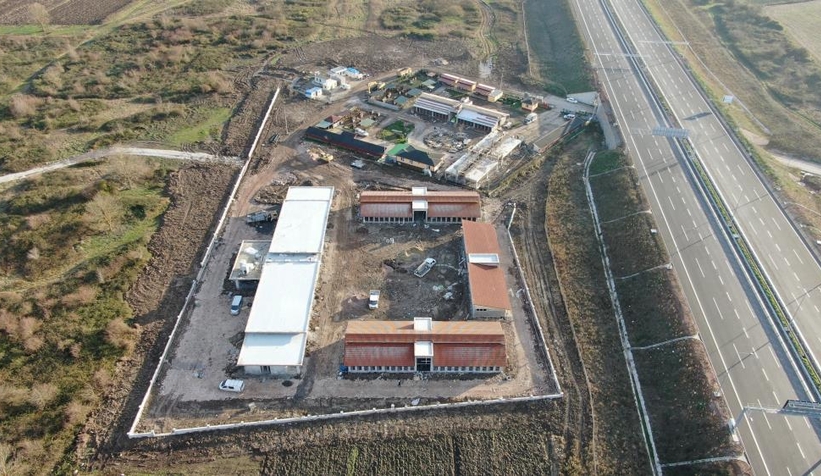 Büyükşehirden sokak hayvanları için dev merkez