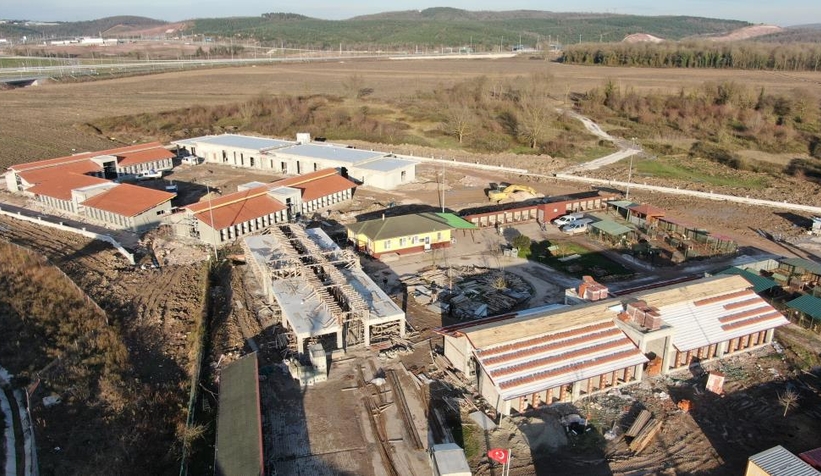 Büyükşehirden sokak hayvanları için dev merkez