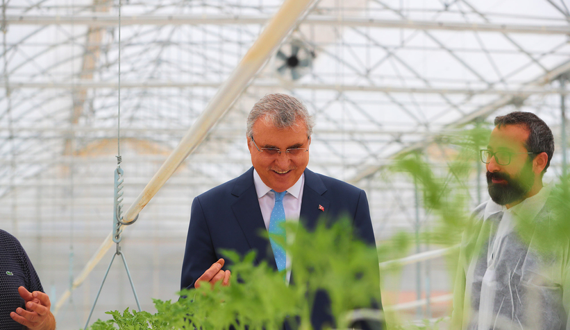 Büyükşehirin Akyazı'daki serasında ilk tohumlar yeşerdi