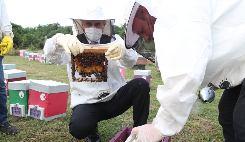 Büyükşehirin bal projesinde 22 ton bal üretildi