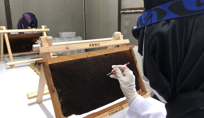 Büyükşehirin bal projesinde 22 ton bal üretildi