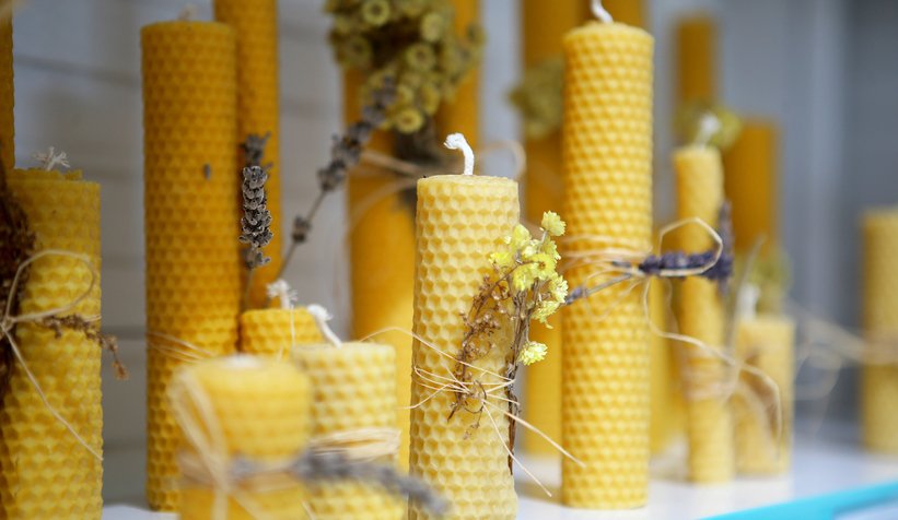 Büyükşehir’in doğanın mucizelerini sunduğu yer: Şifaevi