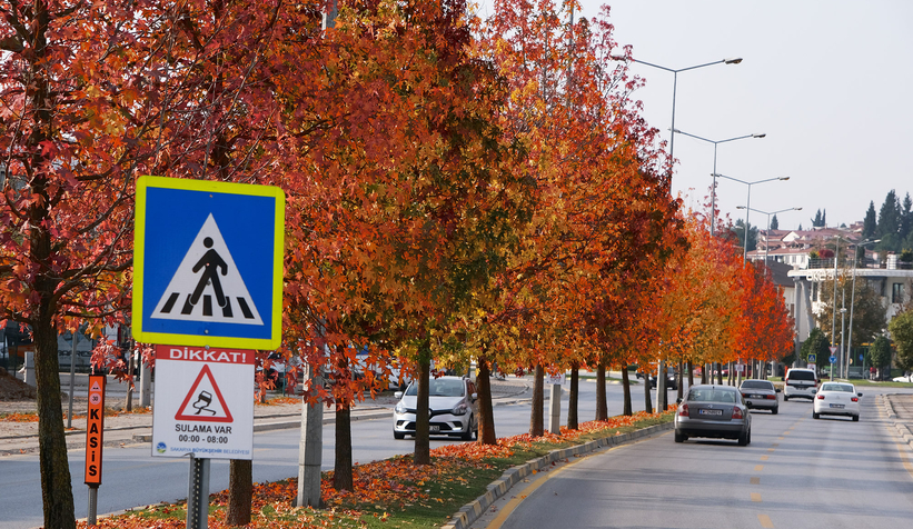 Büyükşehir’in dokunduğu yollarda sonbahar esintisi
