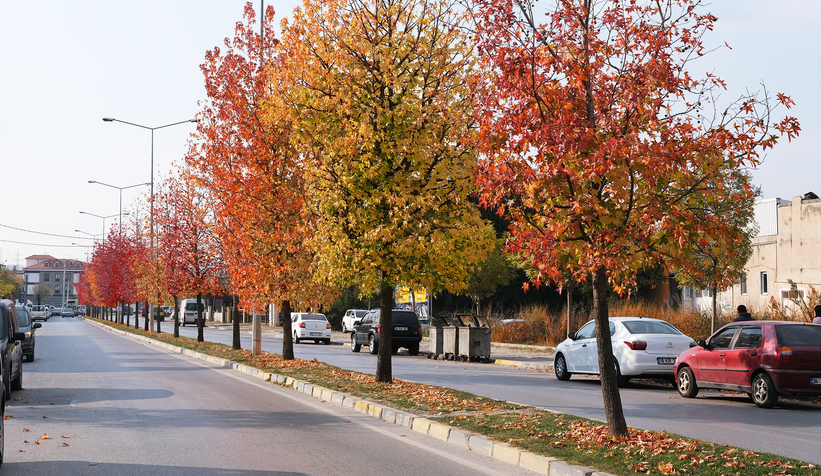 Büyükşehir’in dokunduğu yollarda sonbahar esintisi