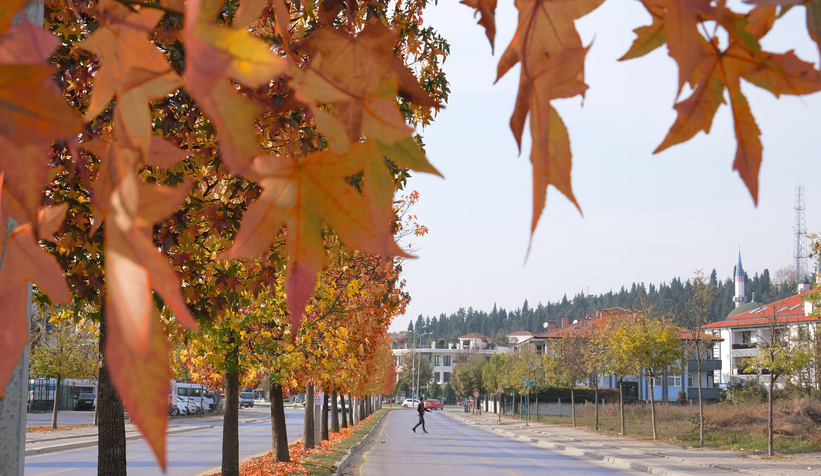 Büyükşehir’in dokunduğu yollarda sonbahar esintisi