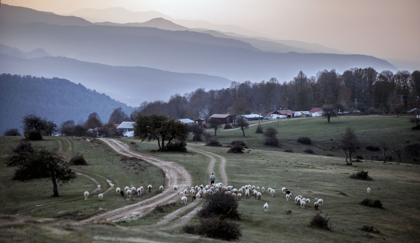 Büyükşehir’in fotoğraf yarışmasında kazananlar belli oldu