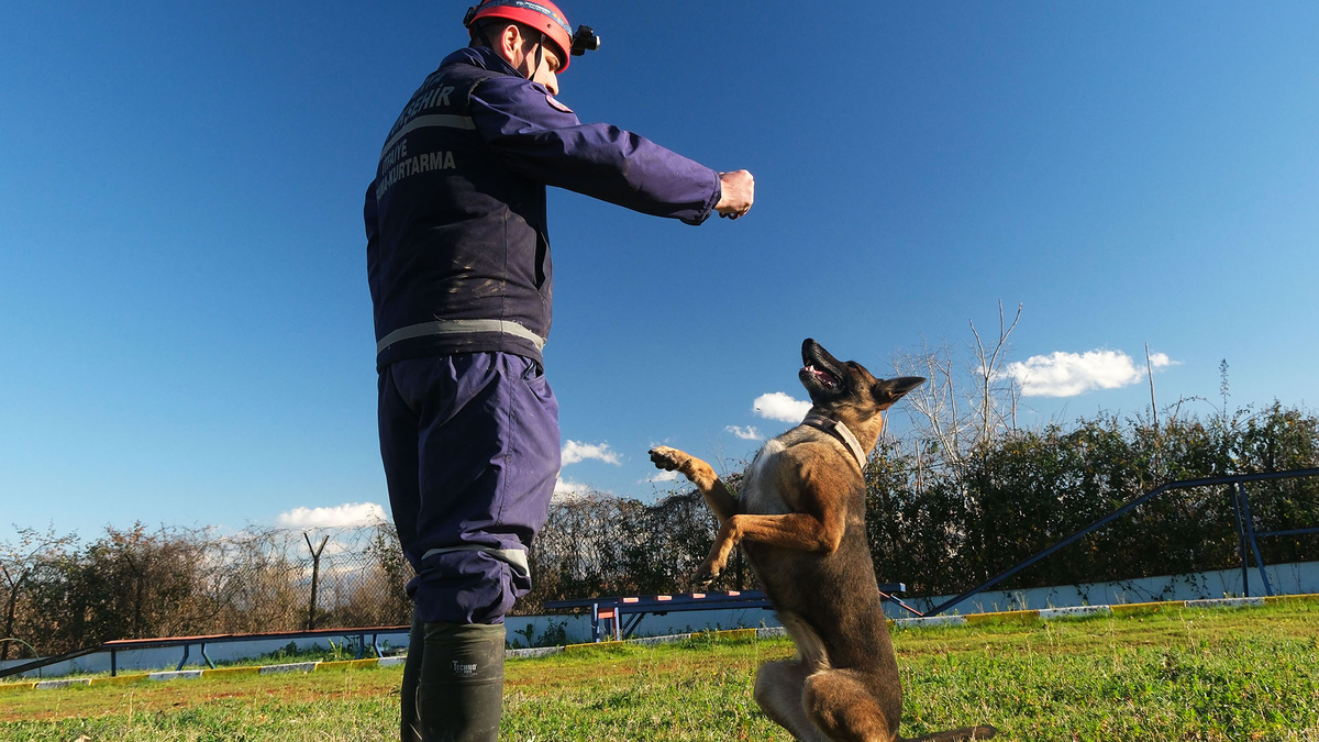 Büyükşehirin K9 Arama Kurtarma köpekleri göreve hazır