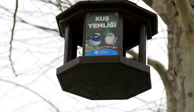 buyuksehirin-kus-yemlikleri-yurekleri-isittivwoxcmursz