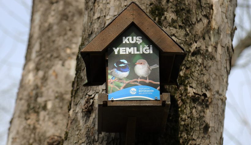 buyuksehirin-kus-yemlikleri-yurekleri-isittivwoxcmursz