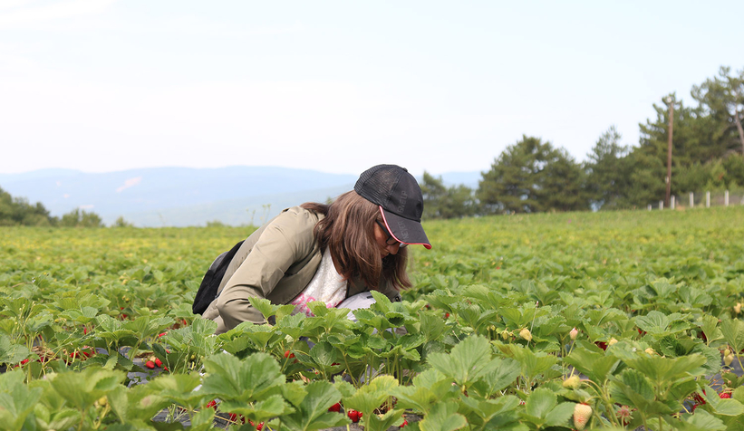 Büyükşehir’in tarım projeleri genç kuşağa yön veriyor