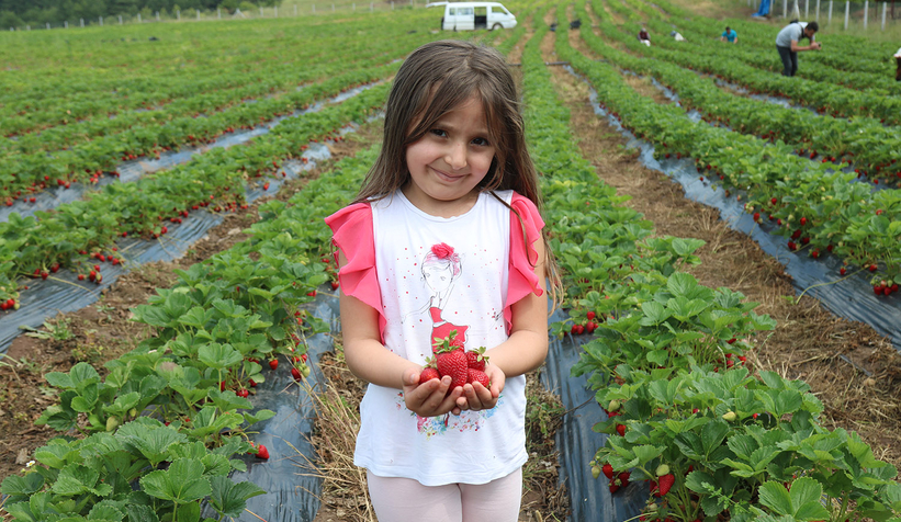 Büyükşehir’in tarım projeleri genç kuşağa yön veriyor