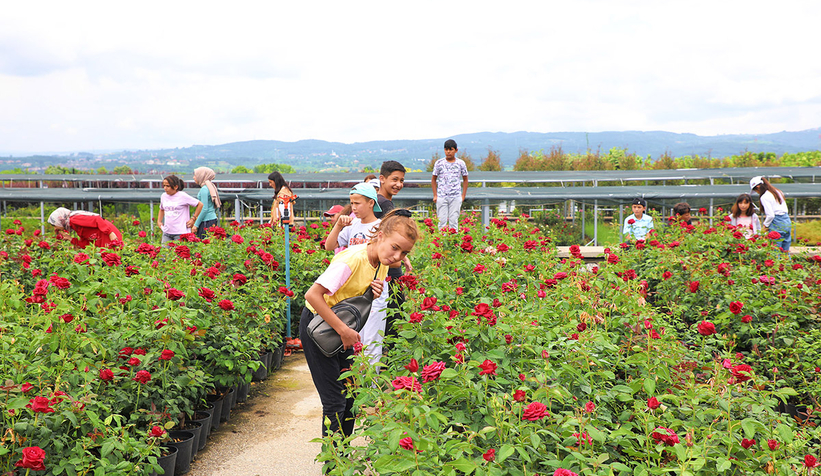 Büyükşehir’in tarım projeleri ile öğrencilere toprak bilinci aşılanıyor