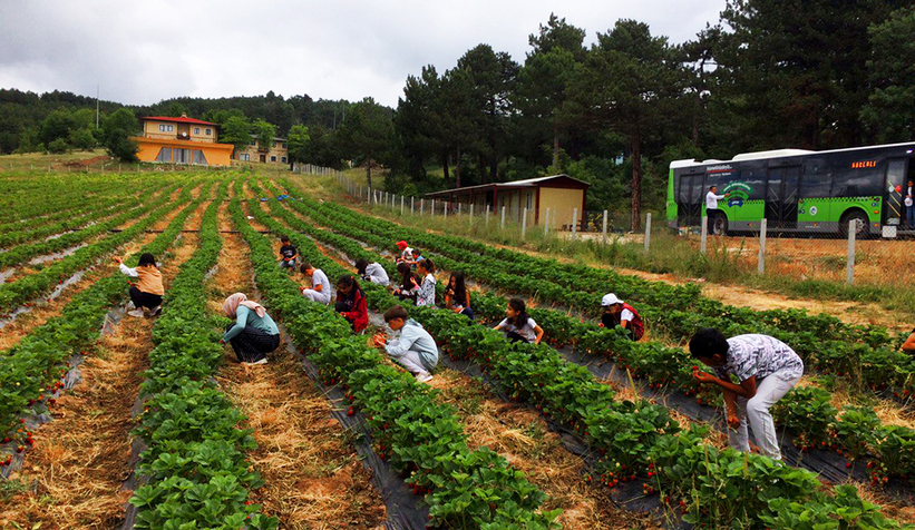 Büyükşehir’in tarım projeleri ile öğrencilere toprak bilinci aşılanıyor