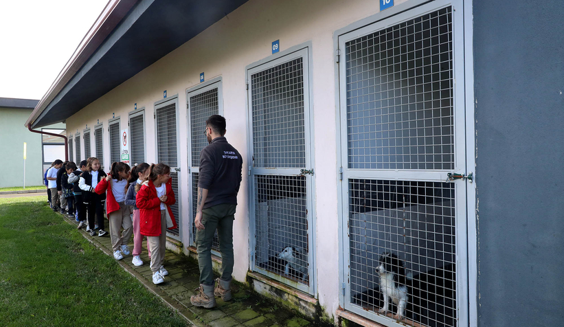 Büyükşehirle unutulmaz bir gün