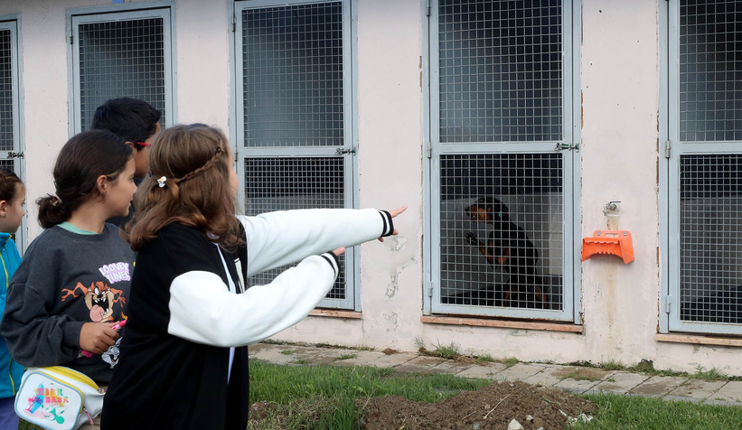 Büyükşehirle unutulmaz bir gün