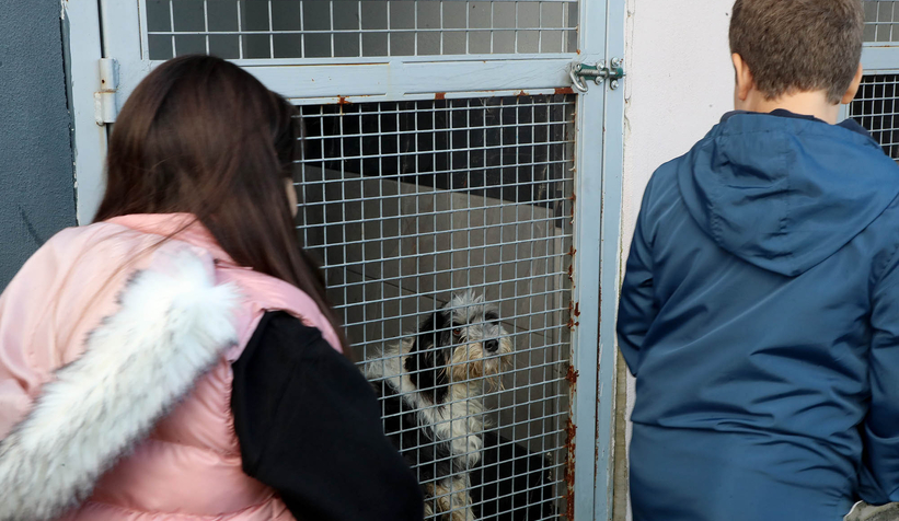 Büyükşehirle unutulmaz bir gün