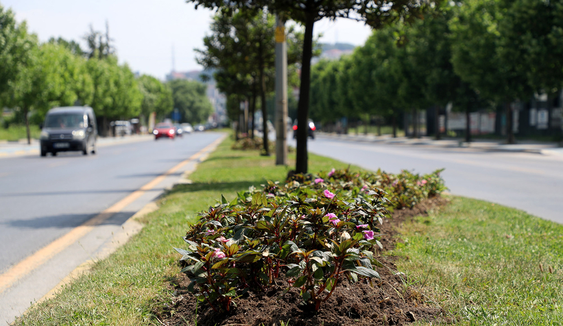 Cadeler bayrama hazırlanıyor
