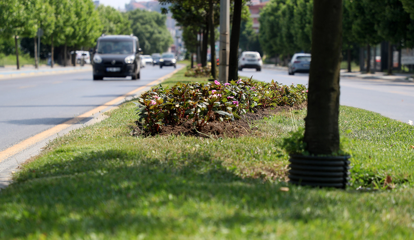 Cadeler bayrama hazırlanıyor