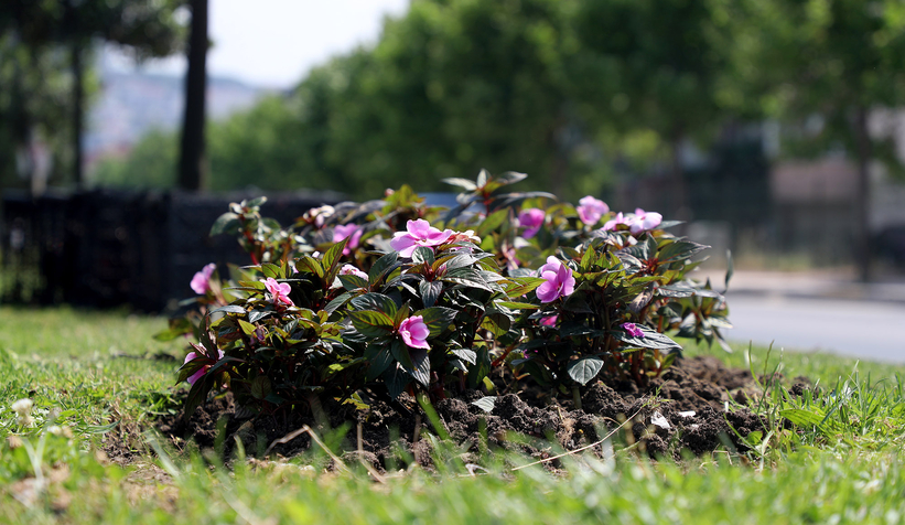 Cadeler bayrama hazırlanıyor