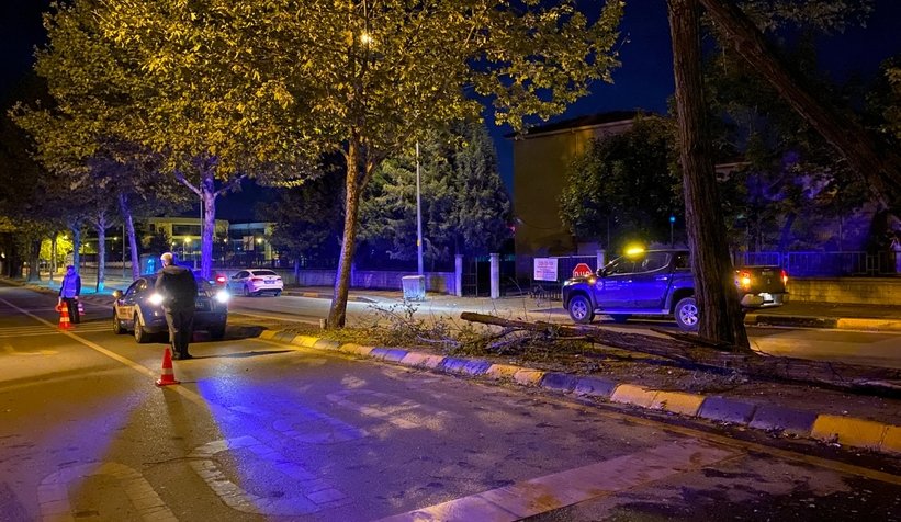 Çaldığı kamyonla dehşet saçtı, 10 aracı biçti