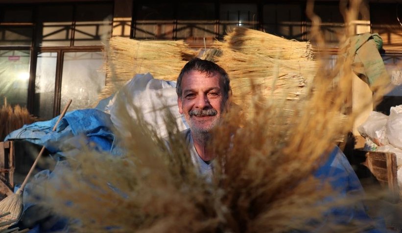 Çalı süpürgesi milyarlık süpürgelere direniyor