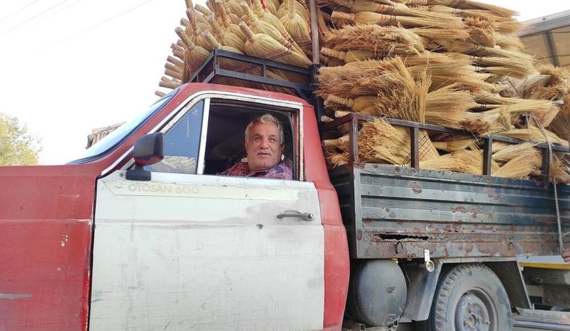 Çalı süpürgesi milyarlık süpürgelere direniyor