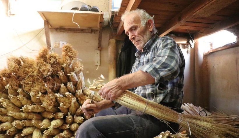 Çalı süpürgesi milyarlık süpürgelere direniyor