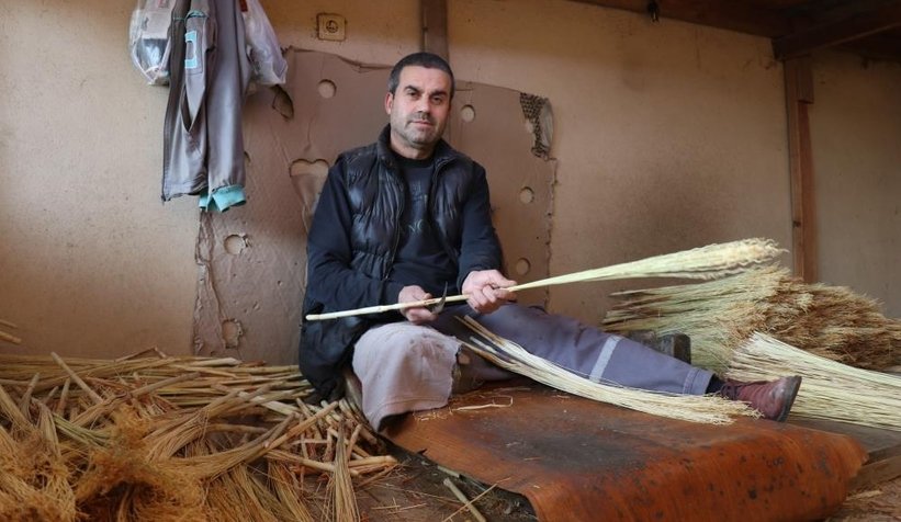 Çalı süpürgesi milyarlık süpürgelere direniyor