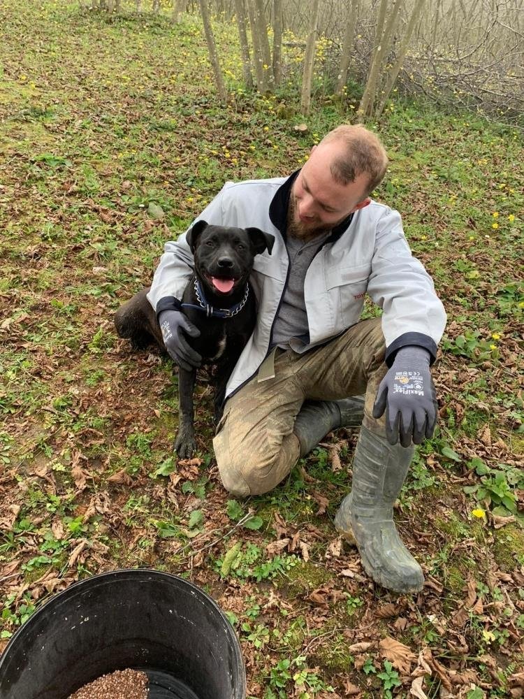 Çalınan köpeğini 3 gündür arıyor