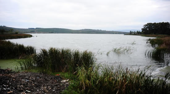 Çaltıcak Gölü'nde İsrail sazanı alarmı