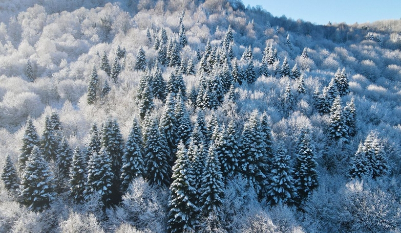 Çam Dağı'ndan eşsiz kareler