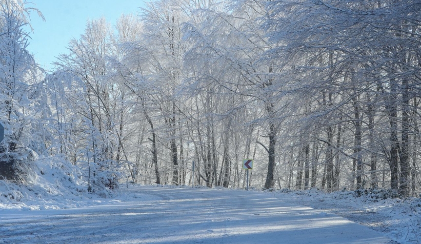 Çam Dağı'ndan eşsiz kareler