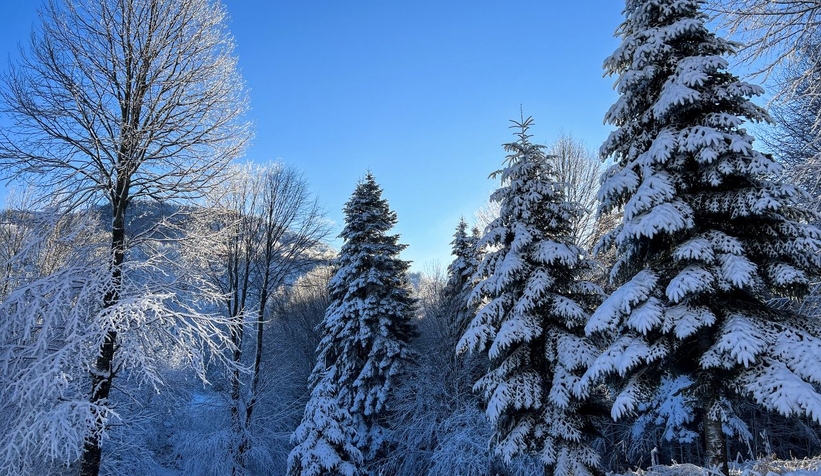 Çam Dağı'ndan eşsiz kareler