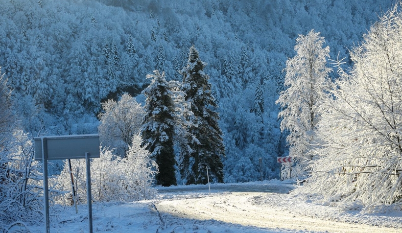 Çam Dağı'ndan eşsiz kareler