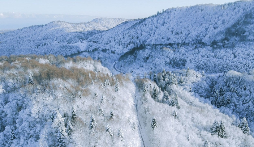Çam Dağı'ndan eşsiz kareler