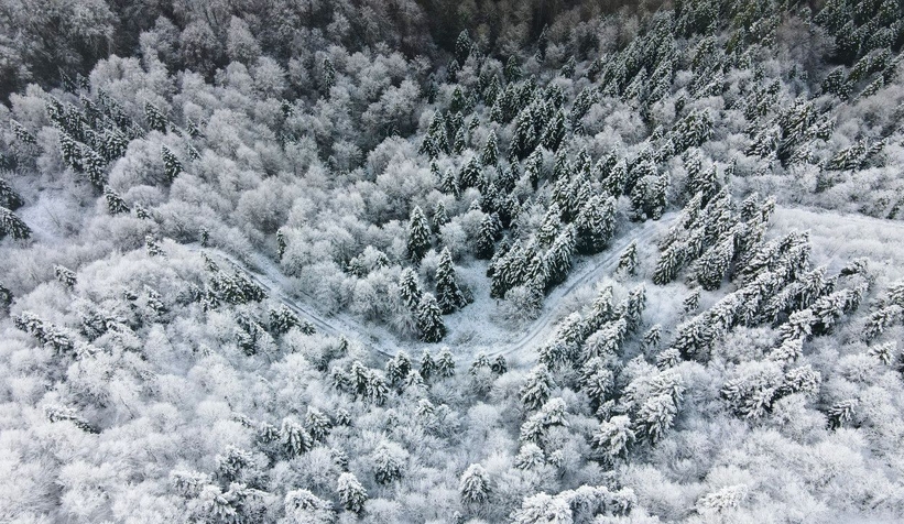 Çam Dağı'ndan eşsiz kareler