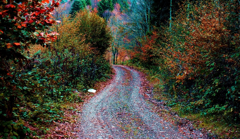 cam-dagi-ndan-kartpostallik-fotograflarttnzzxnqk0