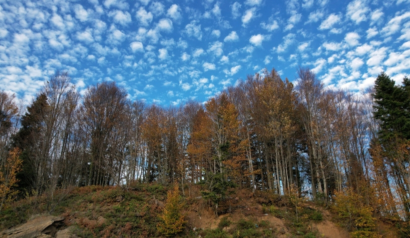 cam-dagi-ndan-kartpostallik-fotograflarttnzzxnqk0