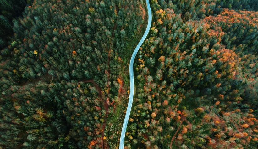 cam-dagi-ndan-kartpostallik-fotograflarttnzzxnqk0